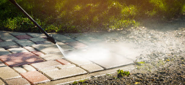 Solar Panel Cleaning in Danville, IA